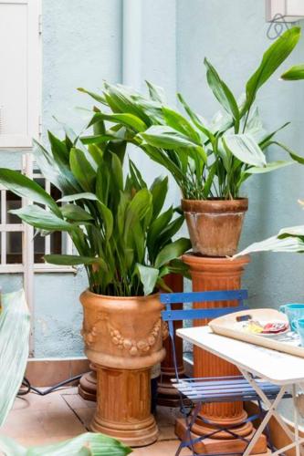 Fantastic Apartment in Madrid Center barrio de las Letras Caixaforum