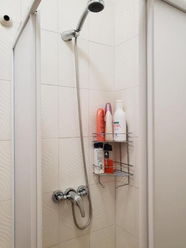 a shower with a shower head in a bathroom at Appartamento Rialto Terminillo in Terminillo