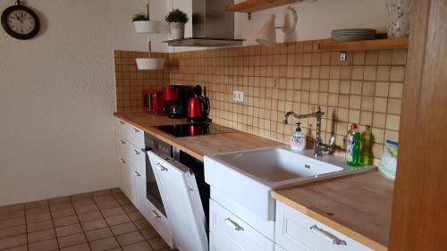 cocina con fregadero y encimera en Ferienwohnung Betula, en Fürstenstein
