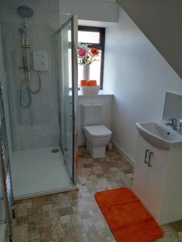 een badkamer met een douche, een toilet en een wastafel bij Mortlach Cottage in Dufftown