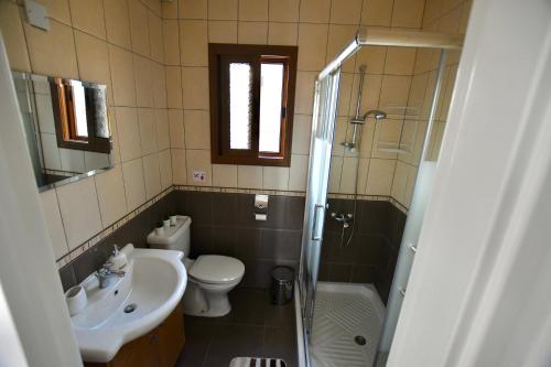 a bathroom with a sink and a toilet and a shower at Villa Trachonas in Pissouri