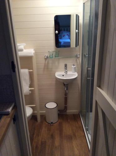 uma casa de banho com um lavatório, um WC e um espelho. em Llangollen Shepherds Huts em Llangollen