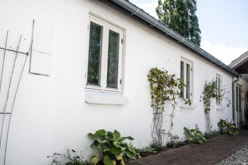 a white house with plants on the side of it at EngholmBB in Odense