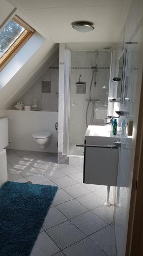 een badkamer met een wastafel en een toilet bij Vliet Huis in Medemblik