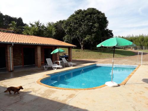 a dog walking next to a swimming pool with an umbrella at Recanto do Nenê in Botucatu