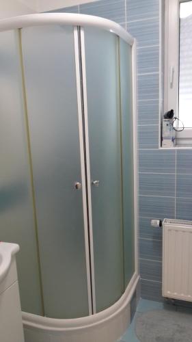 a shower with a glass door in a bathroom at APARTMANI DA-DENT in Sveti Ivan Zelina