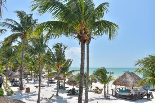 una playa con palmeras y el océano en Amaite Beach Hotel, en Isla Holbox