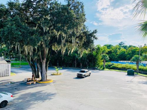 un par de personas sentadas bajo un árbol en un estacionamiento en Value Lodge - Gainesville, en Gainesville
