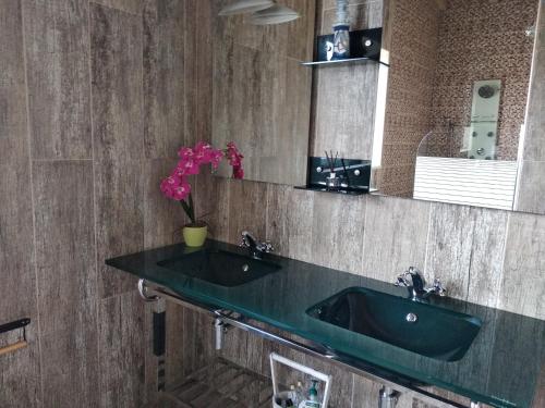 NadadouroにあるQuinta dos Sobreirosのバスルーム(緑のシンク、鏡付)