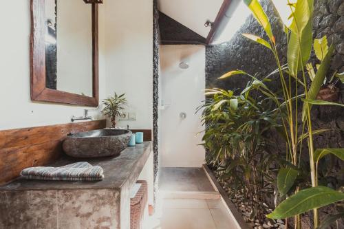 baño con lavabo y planta grande en Big Brother Surf Inn, en Canggu