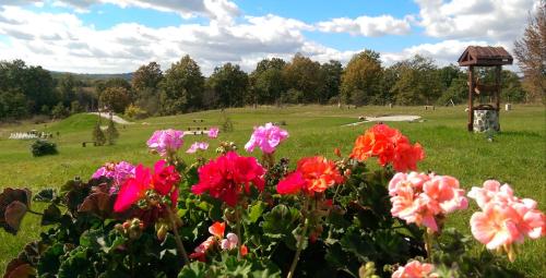 a group of flowers in a field with a gazebo at Апартаментен туристически комплекс Аква Терми in Krasnovo