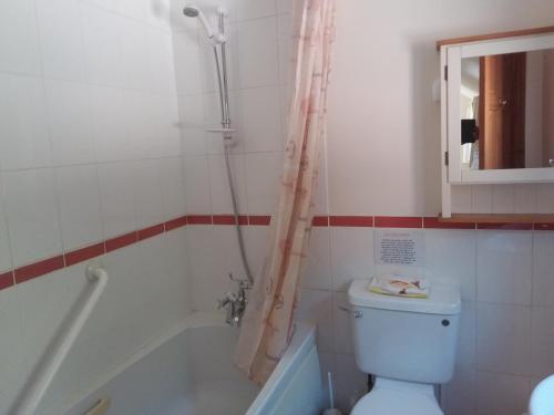 a bathroom with a toilet and a tub and a shower at Wren Cottage in Louth