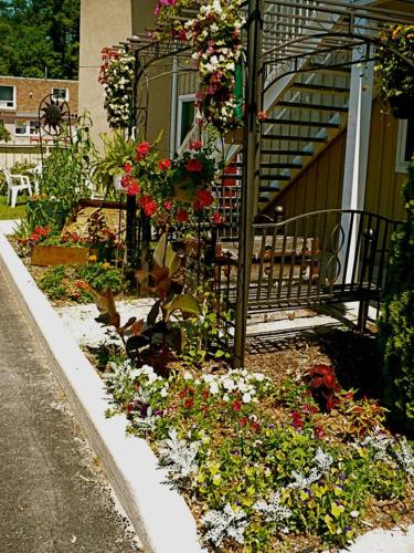 O grădină în afara Saga Resort
