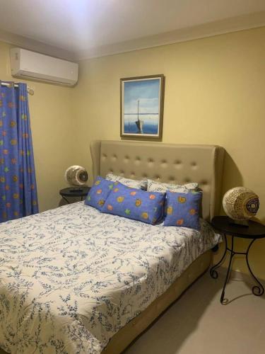 1 dormitorio con 1 cama con almohadas azules en Cozy 2br-2bt Apt Near The Beach And Main Street, en Sosúa