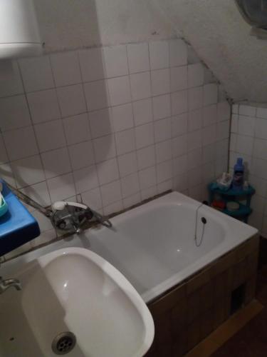 a bathroom with a bath tub with a sink at Bosaca apartment in Žabljak