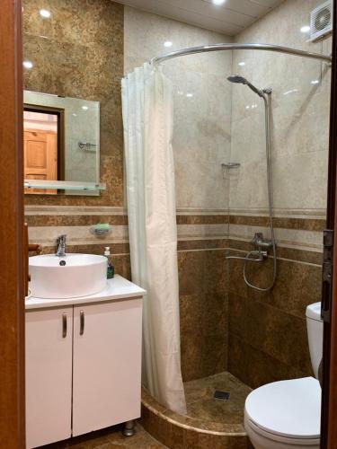 a bathroom with a shower and a sink and a toilet at Borjomi Apartment Lia in Borjomi
