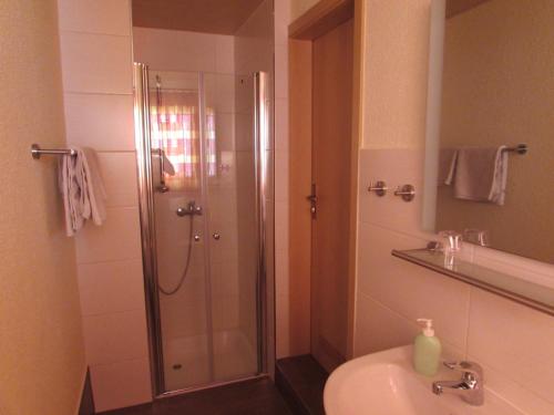 een badkamer met een douche en een wastafel bij Pension Am Heiderand in Radeberg