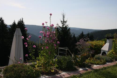 a garden with pink flowers and an umbrella at Ferienwohnung Hauptmann in Frauenwald