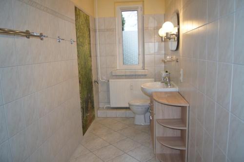 a bathroom with a sink and a toilet and a window at Ferienwohnung Feldberger Seenlandschaft in Neuhof