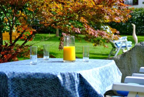 a table with a glass of orange juice on it at Appartements Monuth in Bad Hofgastein