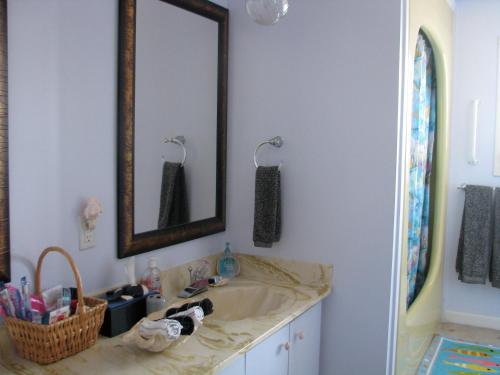 ein Bad mit einem Waschbecken und einem Spiegel in der Unterkunft Fireflies Bed & Breakfast in Campbell River