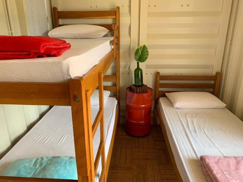a room with three bunk beds and a potted plant at Mandala House Container in Chapada dos Guimarães