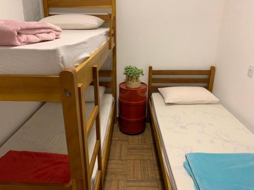 a room with two bunk beds and a potted plant at Mandala House Container in Chapada dos Guimarães