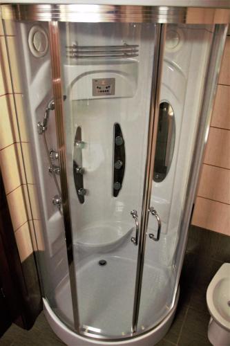 a glass shower in a bathroom with a toilet at Casa Sofia in Bălţăteşti