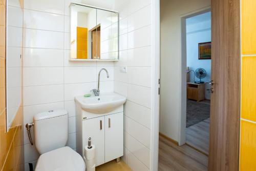 bagno con servizi igienici, lavandino e specchio di Útulný apartmán s pekným výhľadom na hory a Martin