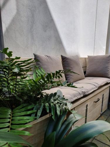 a couch with pillows and plants in a room at Huis Roomolen in Amsterdam