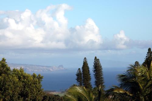 a view of the ocean with palm trees in the foreground at Lumeria Maui, Educational Retreat Center in Makawao