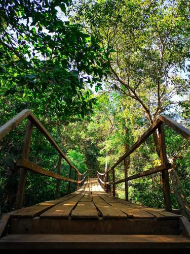 a wooden bridge in the middle of a forest at Route 76 Guest House in Sen Monorom
