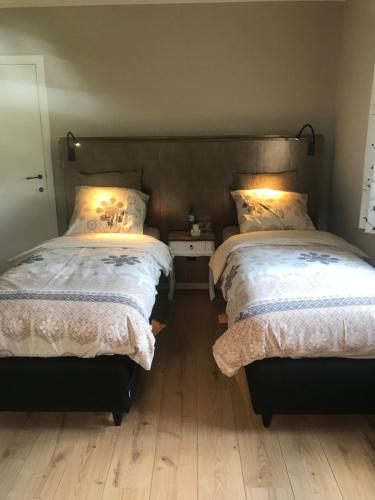 Легло или легла в стая в Het Koningshofje