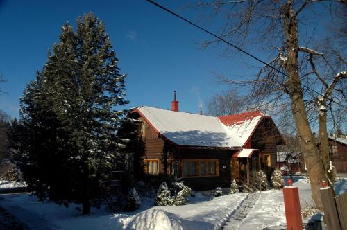 Chaty Javorina في Javorina: منزل مغطى بالثلج مع شجرة عيد الميلاد