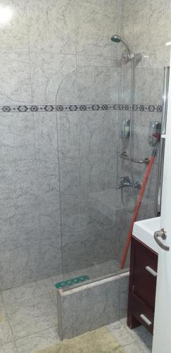 a bathroom with a shower with a glass door at Ignacio Garzón Departamento in Córdoba