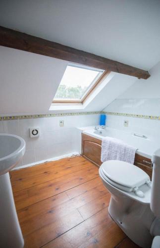 a bathroom with a white toilet and a sink at The Granary in Bridgend