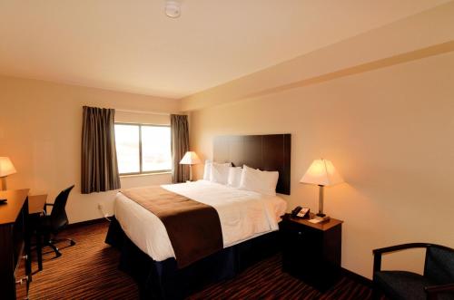 Cette chambre comprend un lit et un bureau. dans l'établissement Cobblestone Inn & Suites - Denison | Oak Ridge, à Denison