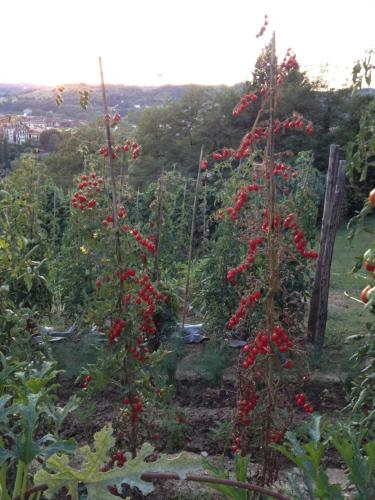 Il Borgo Delle Grazie – Photos 4