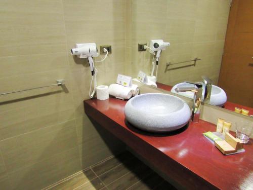 un baño con lavabo y espejo en Hotel Pucón Indómito, en Pucón