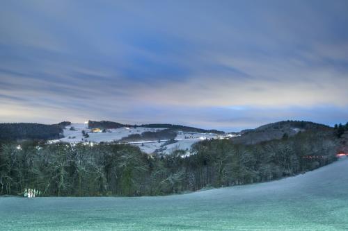 a snow covered hill with trees and a field at Landgasthof Zur Erholung in Breitscheid