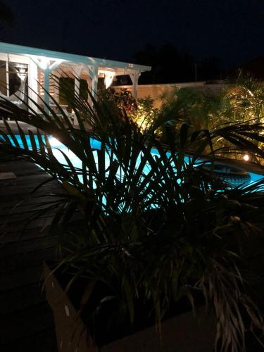 a palm tree in front of a house at night at Villa SoFi in Saint-François
