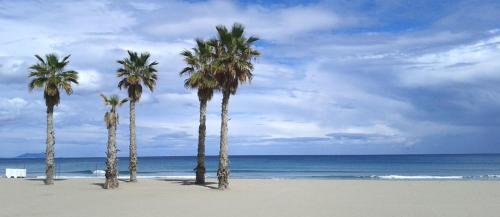 Фотография из галереи Two-Bedroom Apartment Diosa Tanit в Аликанте