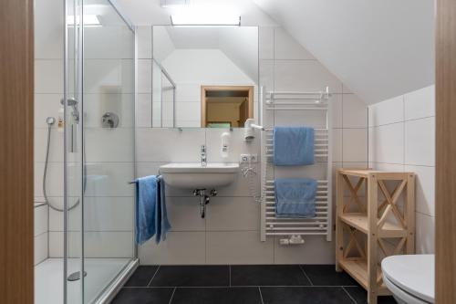 a bathroom with a sink and a shower at Gasthof Zur frohen Einkehr in Reichardsroth