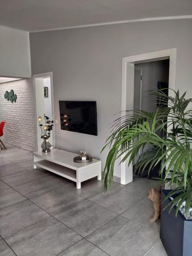 Palm & Sun Family Villa