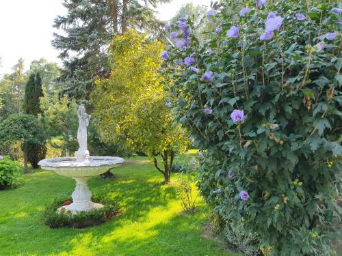 Taman di luar APARTMA SVETINA