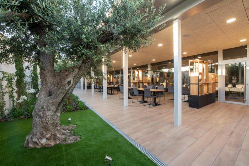 a patio area with a tree and a bench at Tarraco Park Tarragona in Tarragona