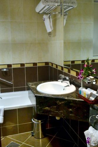  Executive Suites -  Room  picture :    Shower    Bath    Safety deposit box                            