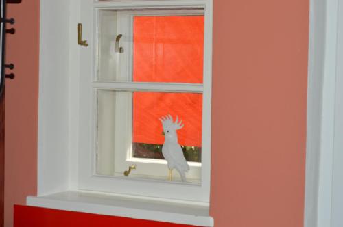 a bird is standing on a window sill at Das Nest in Eisenstadt