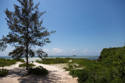 a tree on a sandy beach with the ocean in the background at Kobe Suite Resort in Watamu