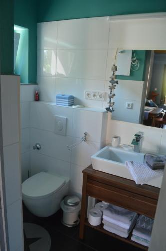 a bathroom with a toilet and a sink at Bootshaus in Eisenstadt
